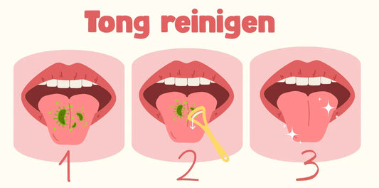 De Beste Tongschraper van 2026: Waarom een Metalen Versie de Gezondste Keuze is Fritzline